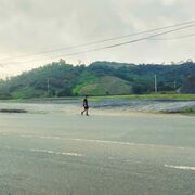 Longkendy1