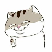 Binphuz
