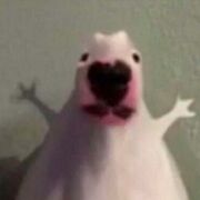 Sinhvienk6