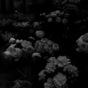 Cu0m
