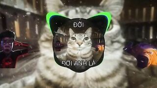Imnao