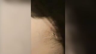 Máy bay thấy chim là nhai ngấu nghiến