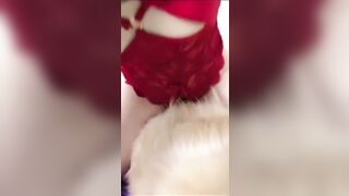 Em gái mới lớn ở nhà một mình nứng lồn quá cho chó bú lồn rồi địt nhau với chó