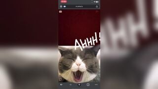 Ometv 4