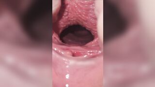 cận cảnh con hàu non tơ chảy nước