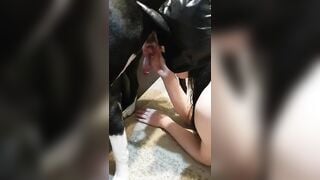 Gái dâm bú cặc chó