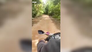 đưa e vào rừng để đụ