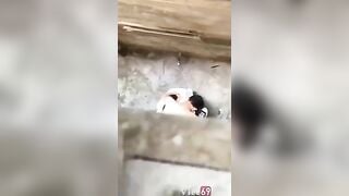 Quay lén em nữ sinh BJ cho bạn trai trong hẻm