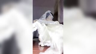 Cô dâu tranh thủ khi nhà trai chưa tới liền móc cu giả ra nhún