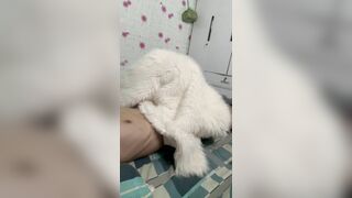 Đè đầu bé vào con cặc của tôi