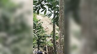 Quay lén 2 em học sinh hoà mình với thiên nhiên