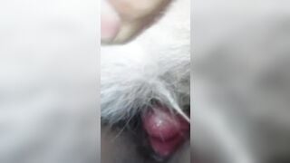 Con chó thì bé mà vợ thì to bắn vợ đè lên cho r cho chó xuất tinh vào lồn