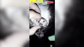 Cặc dài đỏ đầu chịch chó