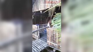 Quay Lén Nhậu Nhẹt Bú Cu Nhau ở chòi