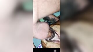 Cặc to chịch chó cái