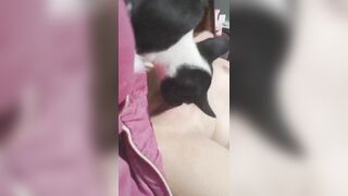 Bé ka11 nghỉ hè ở nhà nứng lồn cho chó liếm