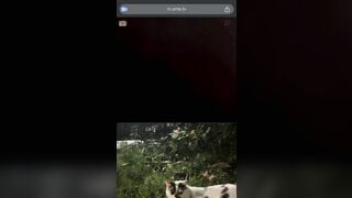 Ometv Gái Xinh k1 2 Lồn không lông phê
