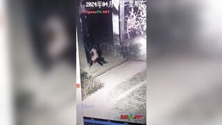 Vãi Cả Lồn 2 e học sinh thản nhiên địt nhau ở sân nhà người ta bị chủ đuổi