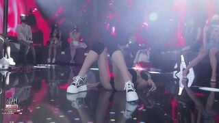Panda live bên hàn 4
