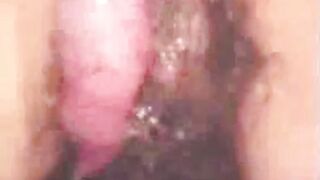 con cac chà bá lửa