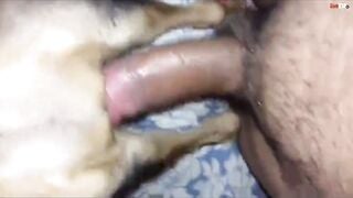 phê con cac quá