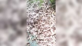 Phát hiện cụ già dẫn cháu gái lên rừng rồi địt