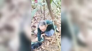 Phát hiện ông cụ u80 dẫn cháu gái lên núi địt trần loạn luân