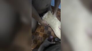 Thú cưng 🐕