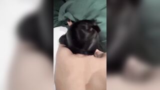 Em ghệ mới quen 2