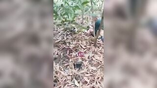 Bắt quả tang vợ nhà ai tằng tịu với trai già trong rừng