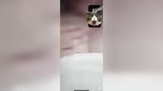 Gạ được em gái chat sex
