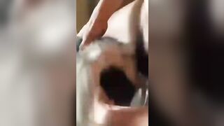 Quan hệ với chó
