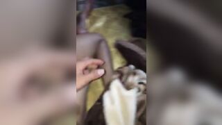 Dogyyy