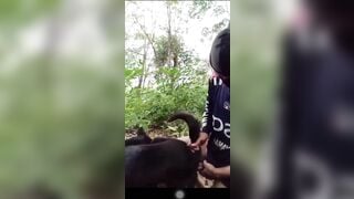 Ra vườn chịch 2 em chó cái