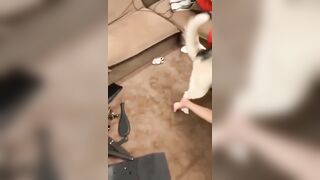 Seri dog sex china - Full ở dưới mô tả