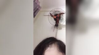 Vcl ạ, 2 con bạn thân nứng lồn bóp vú nhau show móc lồn khoe thân