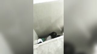 Quay lén 2 đứa bạn cùng lớp địt nhau trong nvs nữ rồi đăng lên confession trường