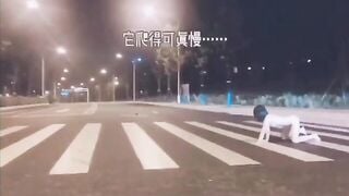 Những cô gái khoe lồn nơi công cộng 18