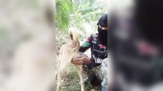 Trai thái bú lồn chó