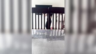 Xin lỗi vk ck ko có lỗi