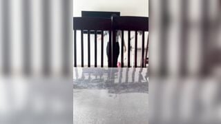 Xin lỗi vk ck ko có lỗi