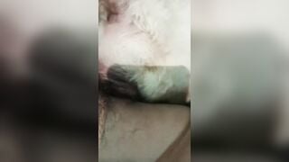 Em chó cái lồn sưng to