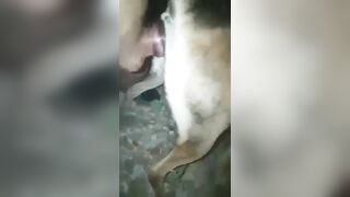 Anh trai đụ em chó cái bót cặc
