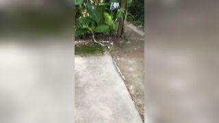 sục sau lưng em học sinh