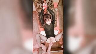 Layboy.  Mira table - Korean, Tranny, Shemale Porn