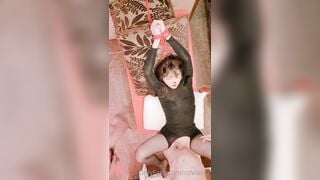Layboy.  Mira table - Korean, Tranny, Shemale Porn