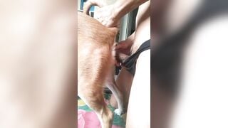 Kiếm nhóm ***