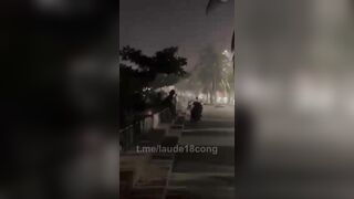 Thằn lằn bám kính là xưa rồi. Bây giờ là cưỡi ngựa đường phố