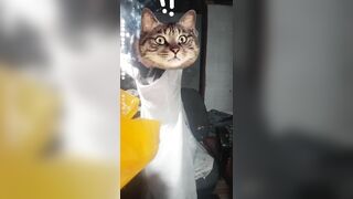 Em mới học về đã nứng