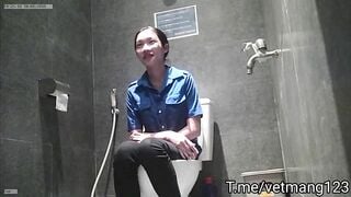 Ql toilet việt